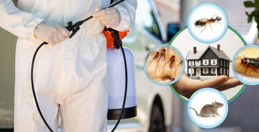 Altınekin Böcek İlaçlama