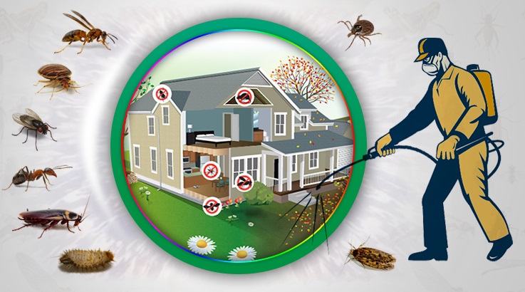 Altınekin Böcek İlaçlama