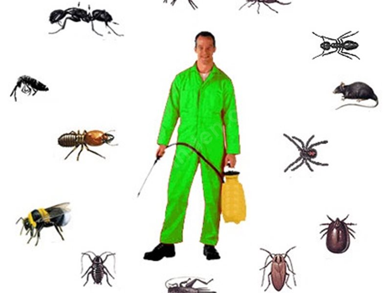 Altınekin Böcek İlaçlama